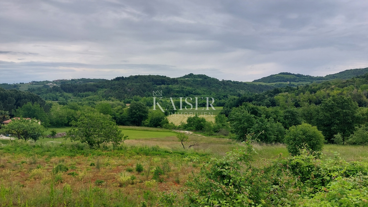 Istria, Cittanova - terreno edificabile, 1100 m2