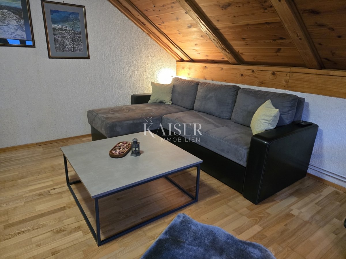 Delnice - casa con cinque appartamenti, OCCASIONE IDEALE PER INVESTITORI