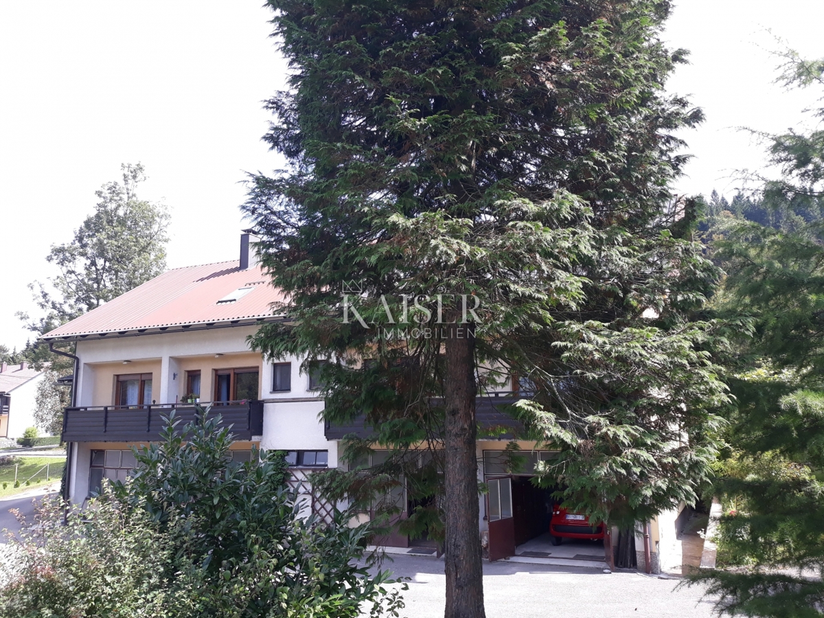 Delnice - casa con cinque appartamenti, OCCASIONE IDEALE PER INVESTITORI