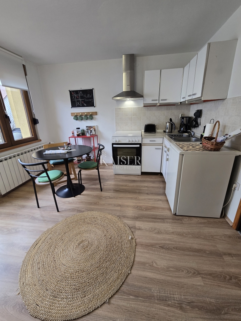 Delnice - casa con cinque appartamenti, OCCASIONE IDEALE PER INVESTITORI