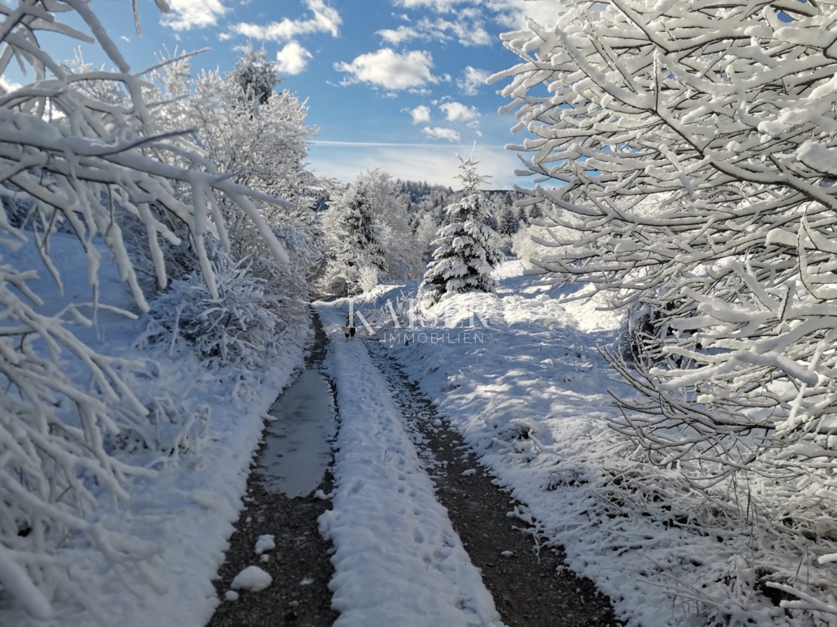 Un'oasi di montagna esclusiva nel cuore del Gorski Kotar
