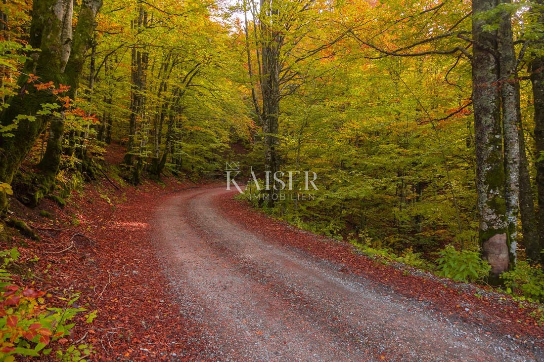 Un'oasi di montagna esclusiva nel cuore del Gorski Kotar