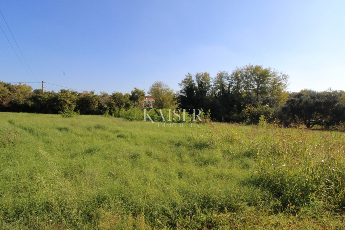 Istria - Nova Vas, terreno edificabile per uso residenziale