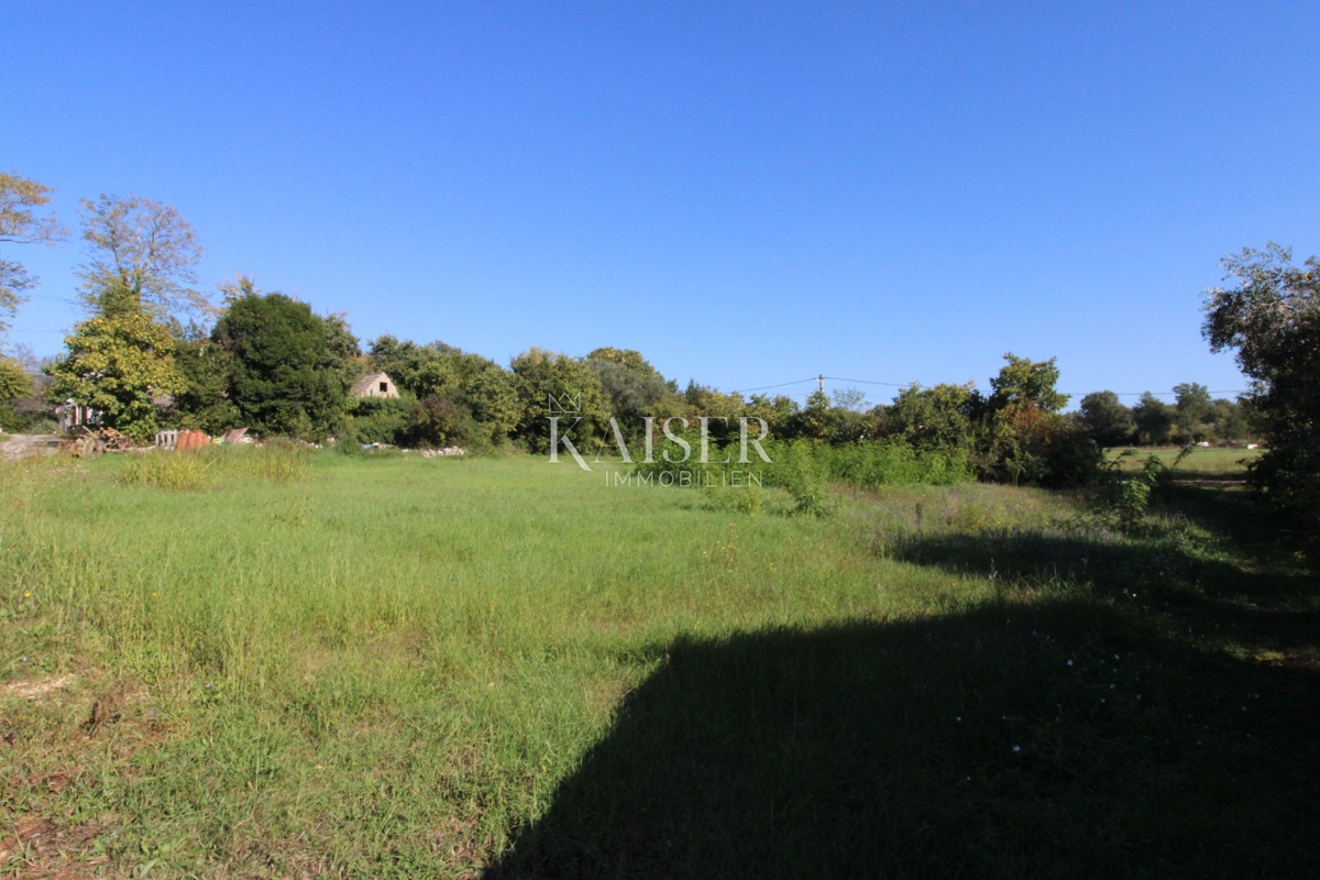 Istria - Nova Vas, terreno edificabile per uso residenziale