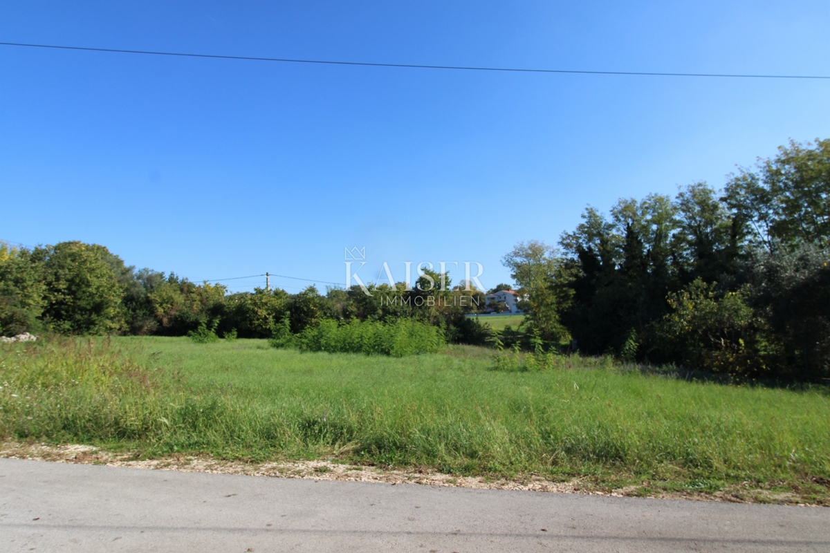 Istria - Nova Vas, terreno edificabile per uso residenziale