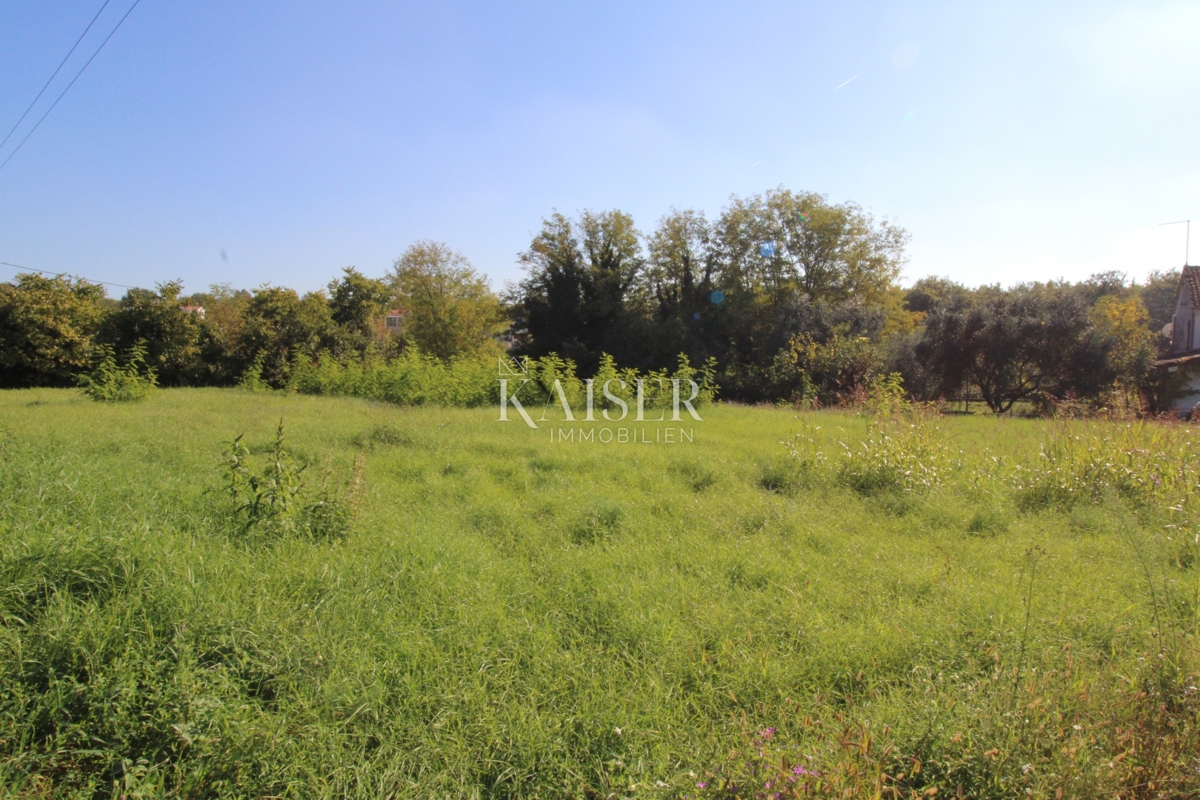 Istria - Nova Vas, terreno edificabile per uso residenziale