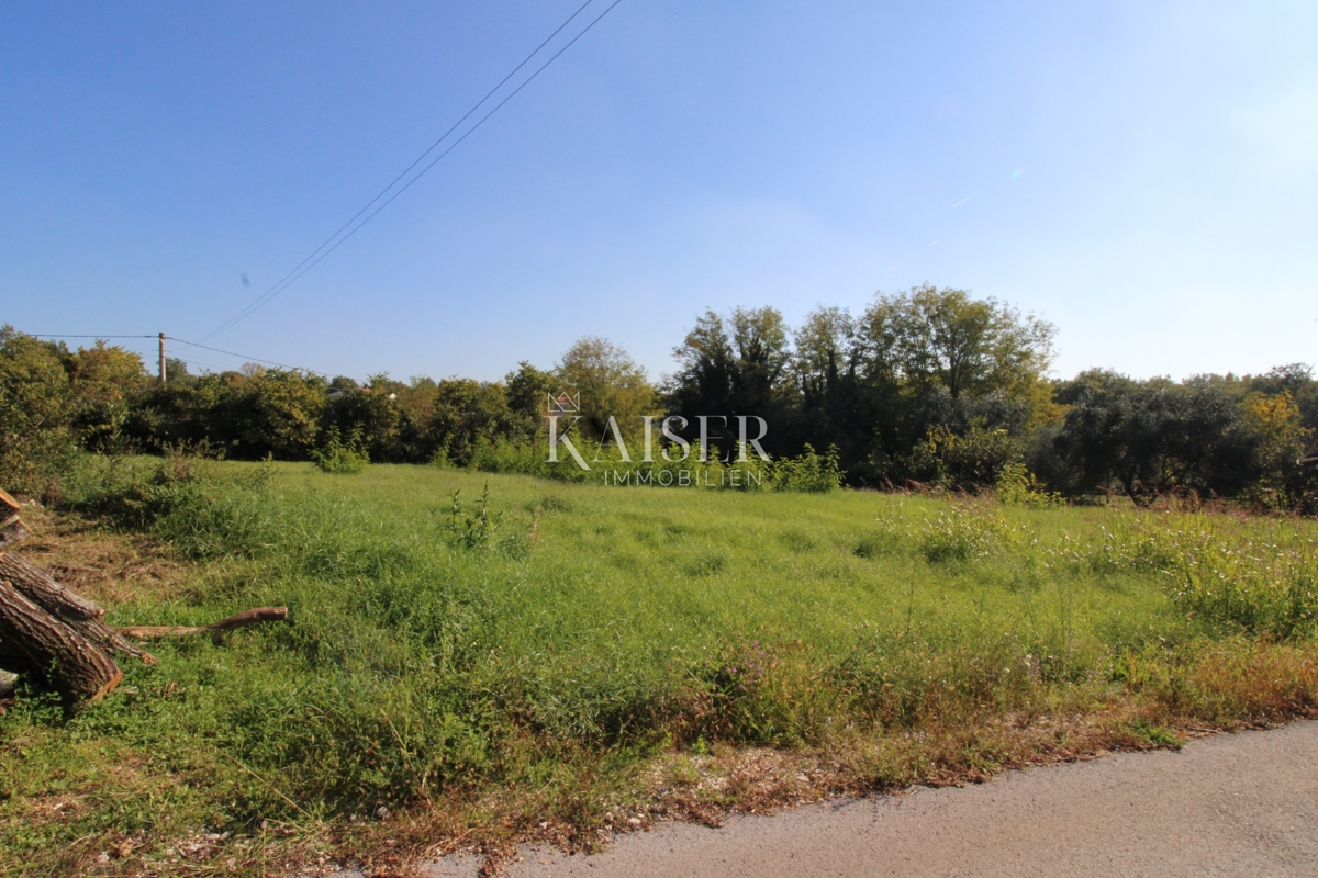 Istria - Nova Vas, terreno edificabile per uso residenziale