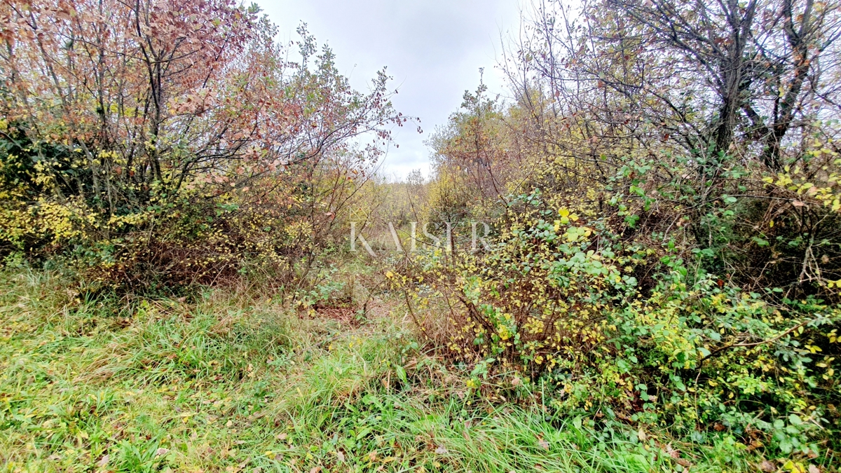 Antichità Višnjan, 400m2