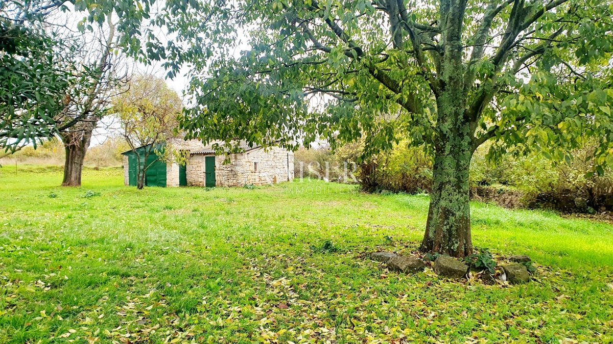 Antichità Višnjan, 400m2