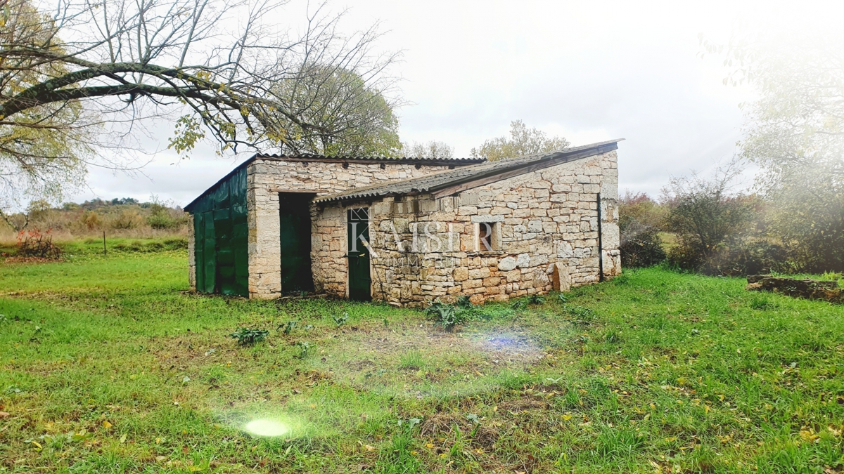 Antichità Višnjan, 400m2