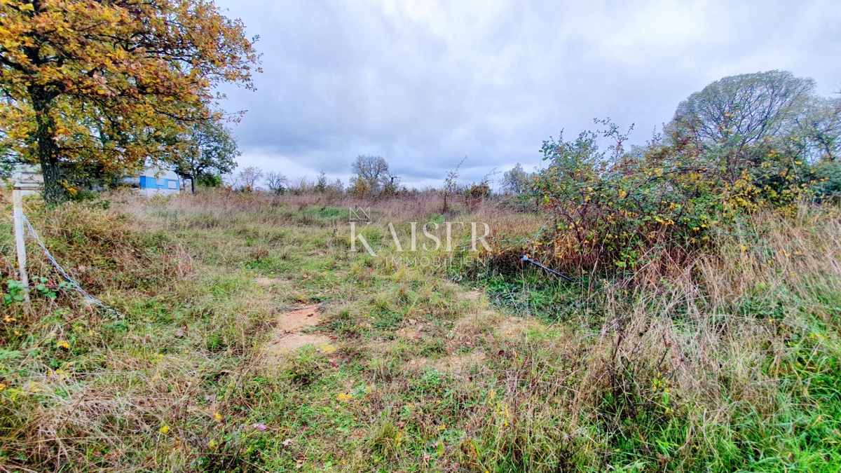 Antichità Višnjan, 400m2