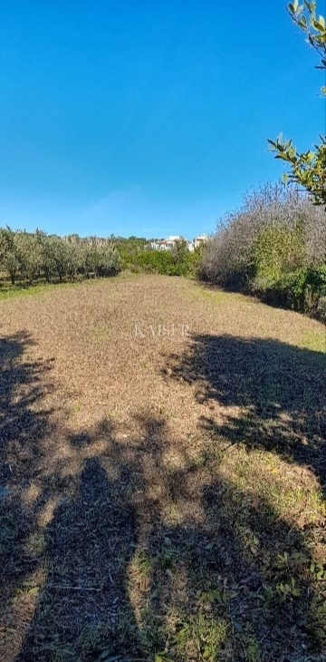 Земля під забудову Premantura, Medulin, 1.793m2