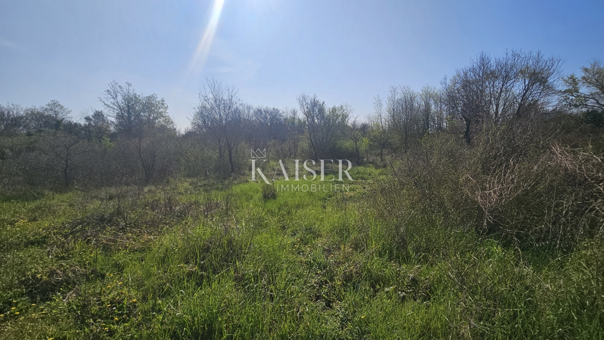 Umago, zona dell'Istria, terreni agricoli lungo la strada principale