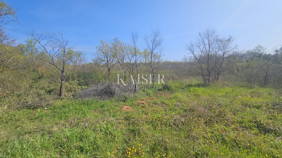 Umago, zona dell'Istria, terreni agricoli lungo la strada principale