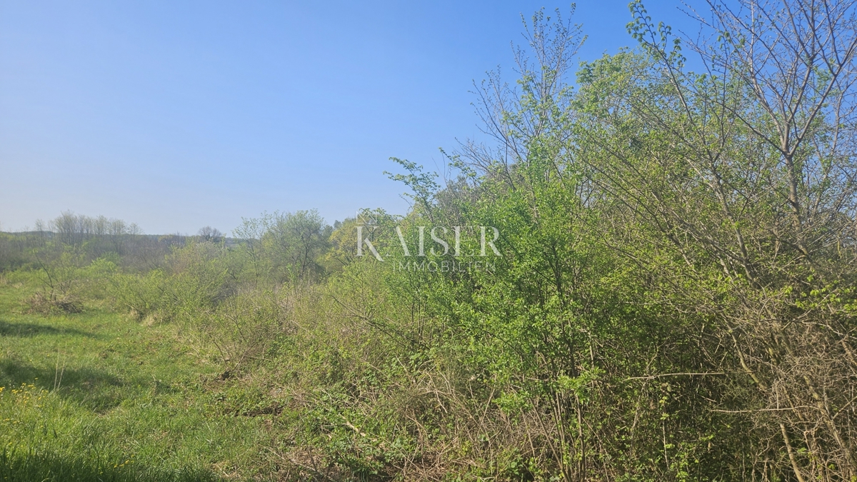 Umago, zona dell'Istria, terreni agricoli lungo la strada principale