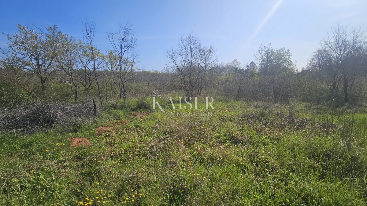 Umago, zona dell'Istria, terreni agricoli lungo la strada principale