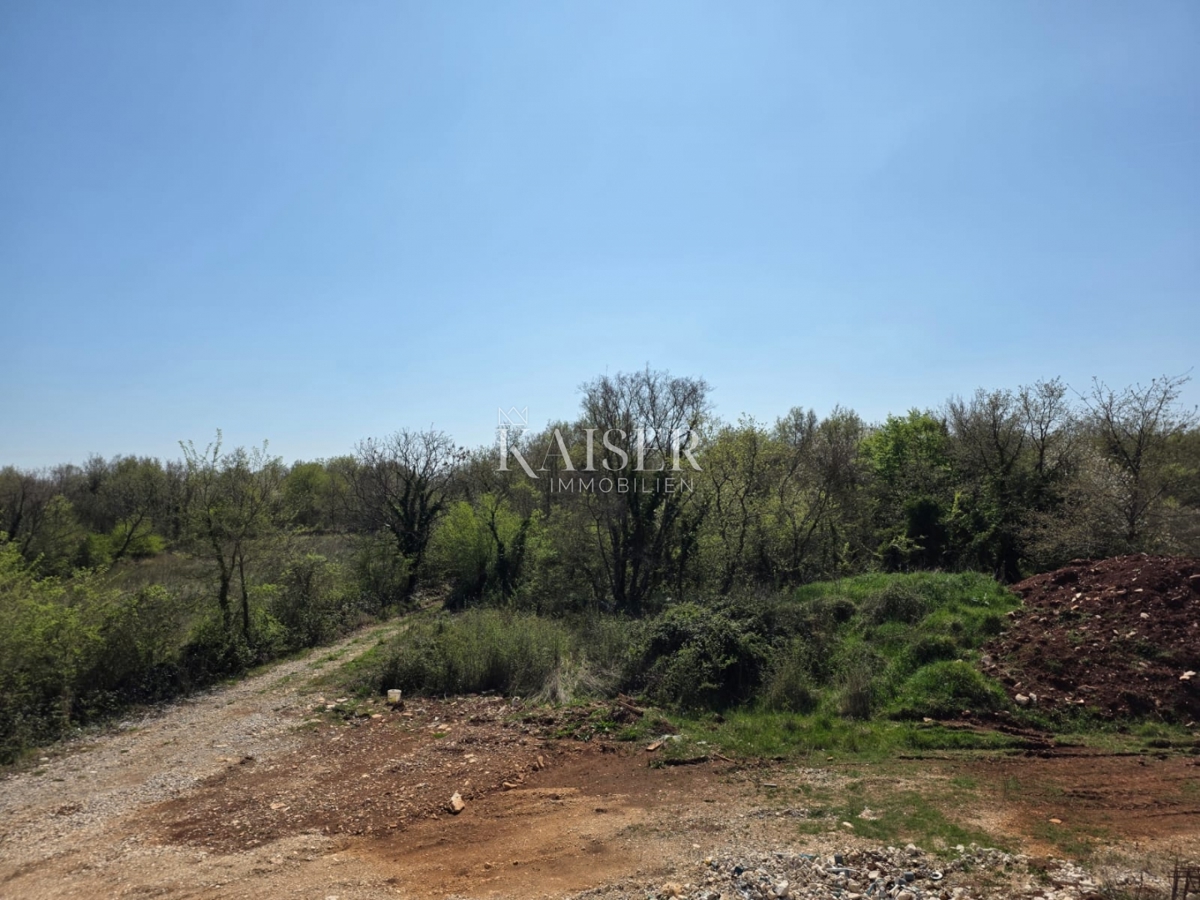 Istria, Tinjan - casa con piscina immersa nella natura