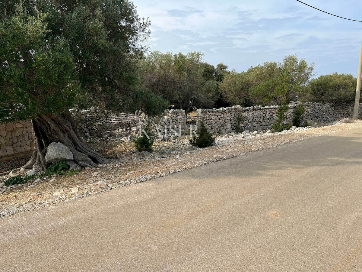 L'isola di Pag, Lun - un terreno edificabile unico con uliveto