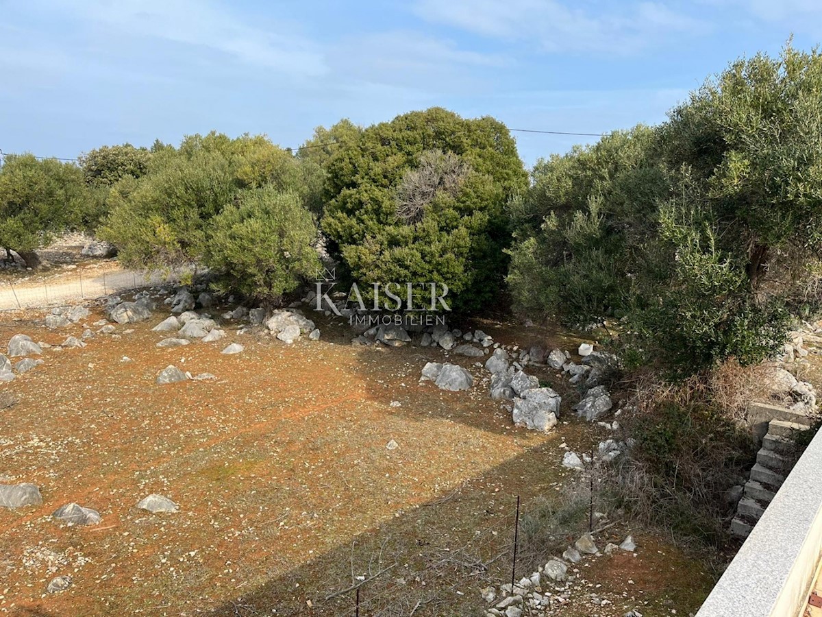 L'isola di Pag, Lun - un terreno edificabile unico con uliveto