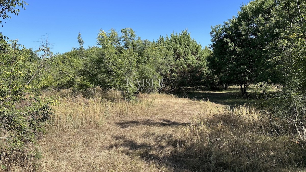 Isola di Krk, Pinezići - terreno agricolo 2600 m2