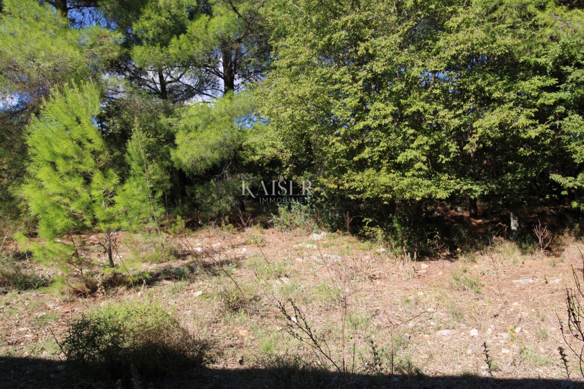 Slivnica - una casa indipendente con strutture ausiliarie