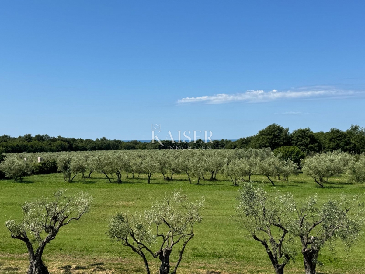 Villa Lovrečica, Umag, 126m2
