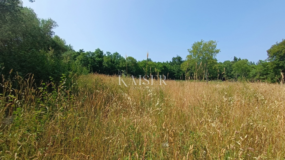 Istria, Peruški - terreno edificabile 862m2 con progetto 