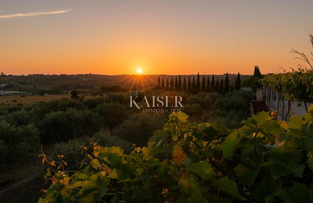 Zara - Proprietà esclusiva con due ville.