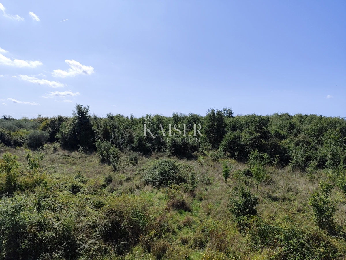 Istria, Parenzo - appartamento con tre camere da letto