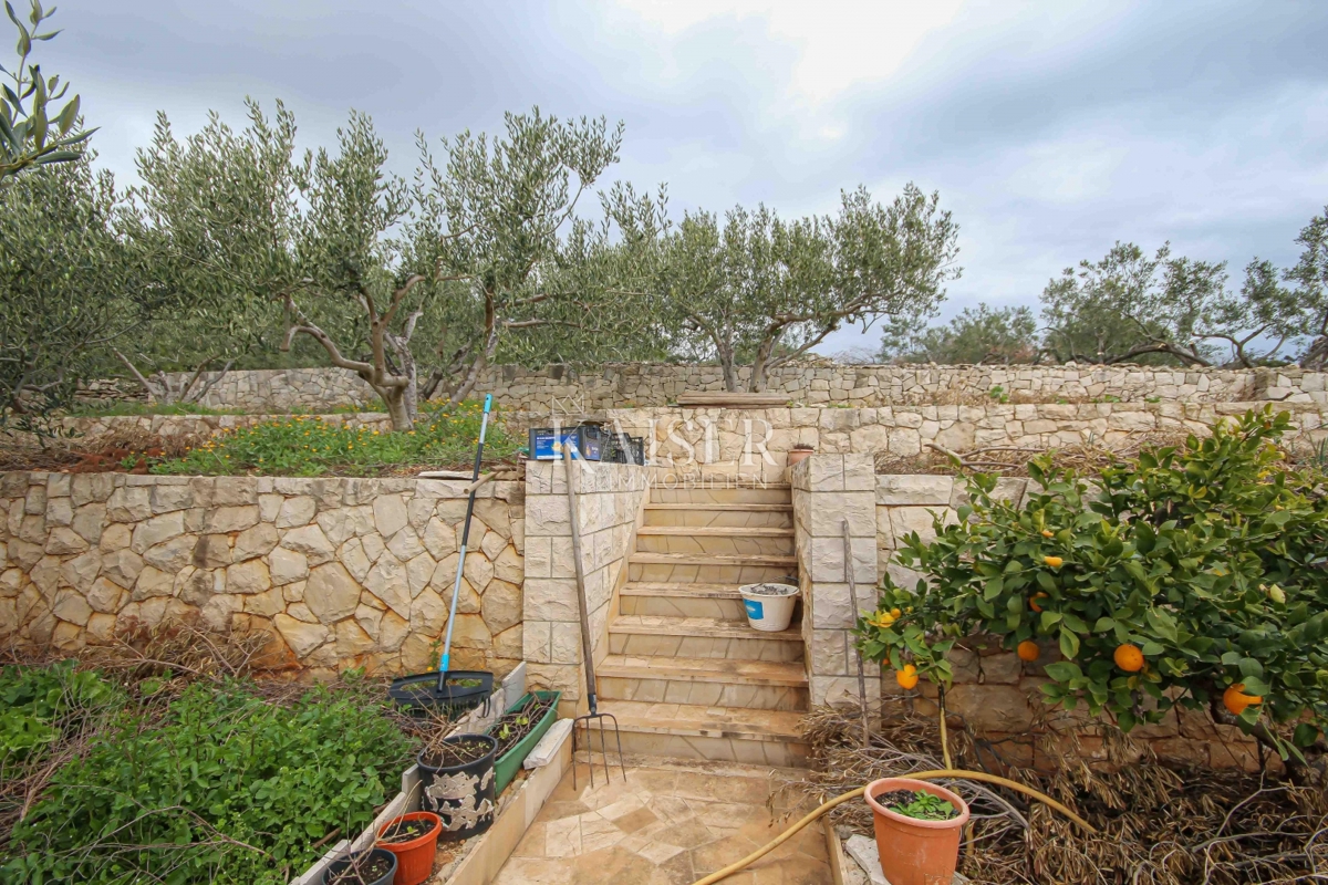 SUMARTIN, Brač - Villa di lusso in pietra di Brač con uliveto e posto barca
