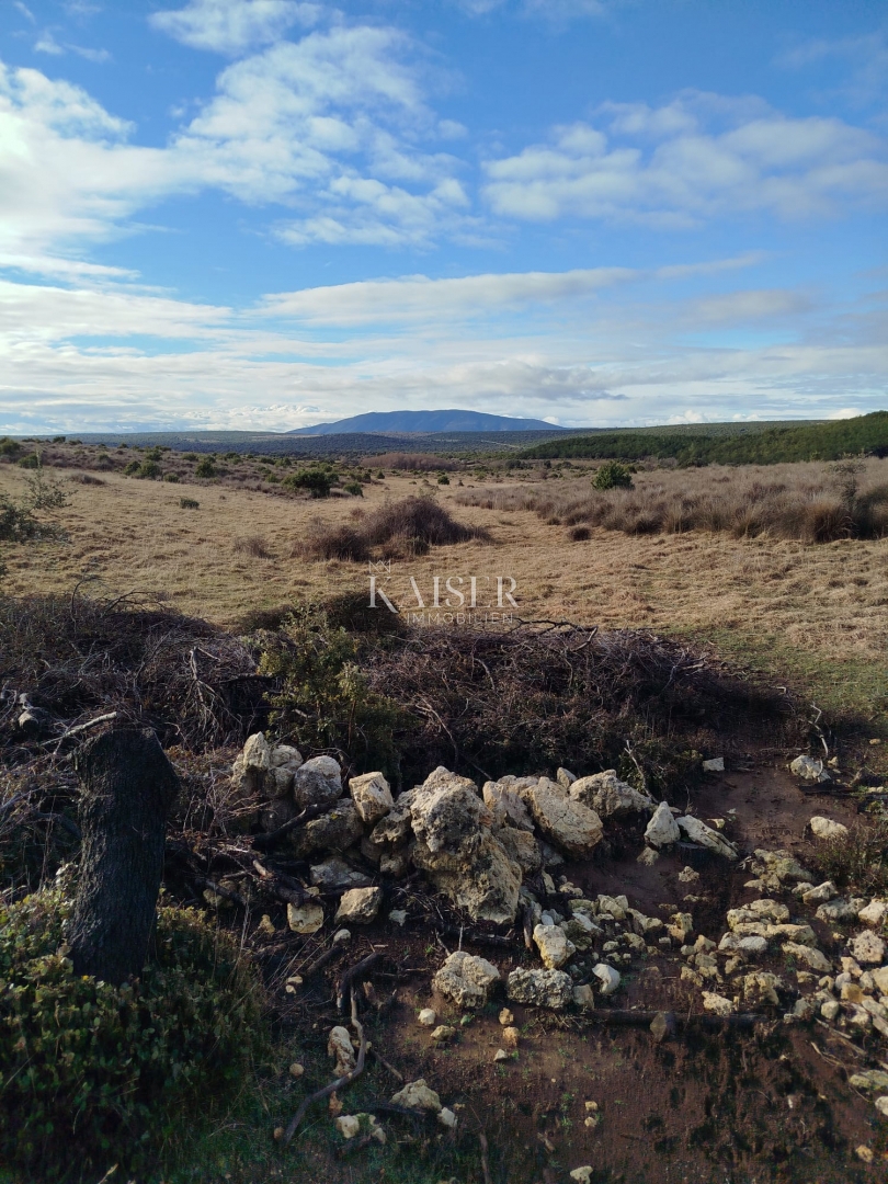 Isola di Cherso, terreno agricolo 111.715 m2