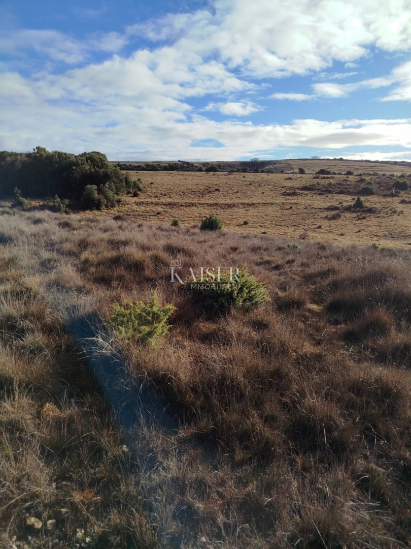 Isola di Cherso, terreno agricolo 111.715 m2