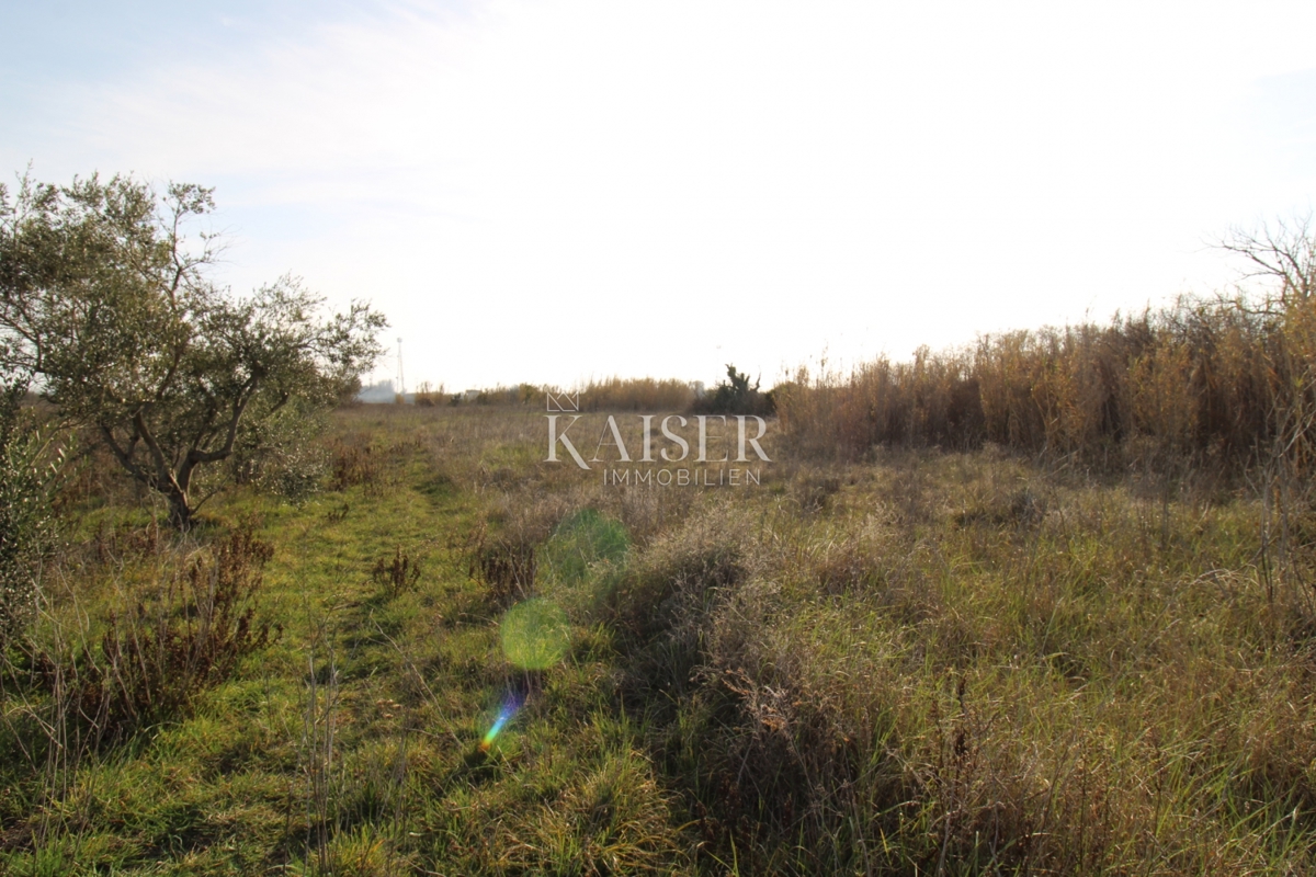 Земля під забудову Privlaka, 1.000m2