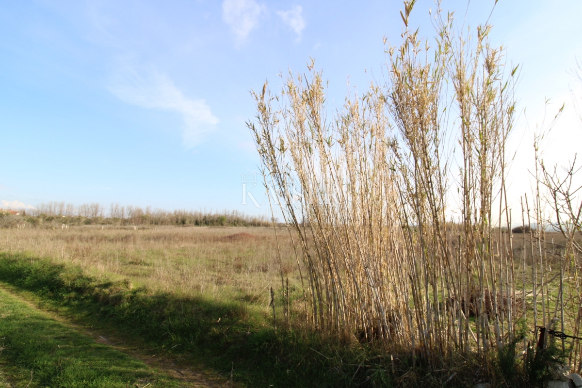 Земля під забудову Privlaka, 1.000m2