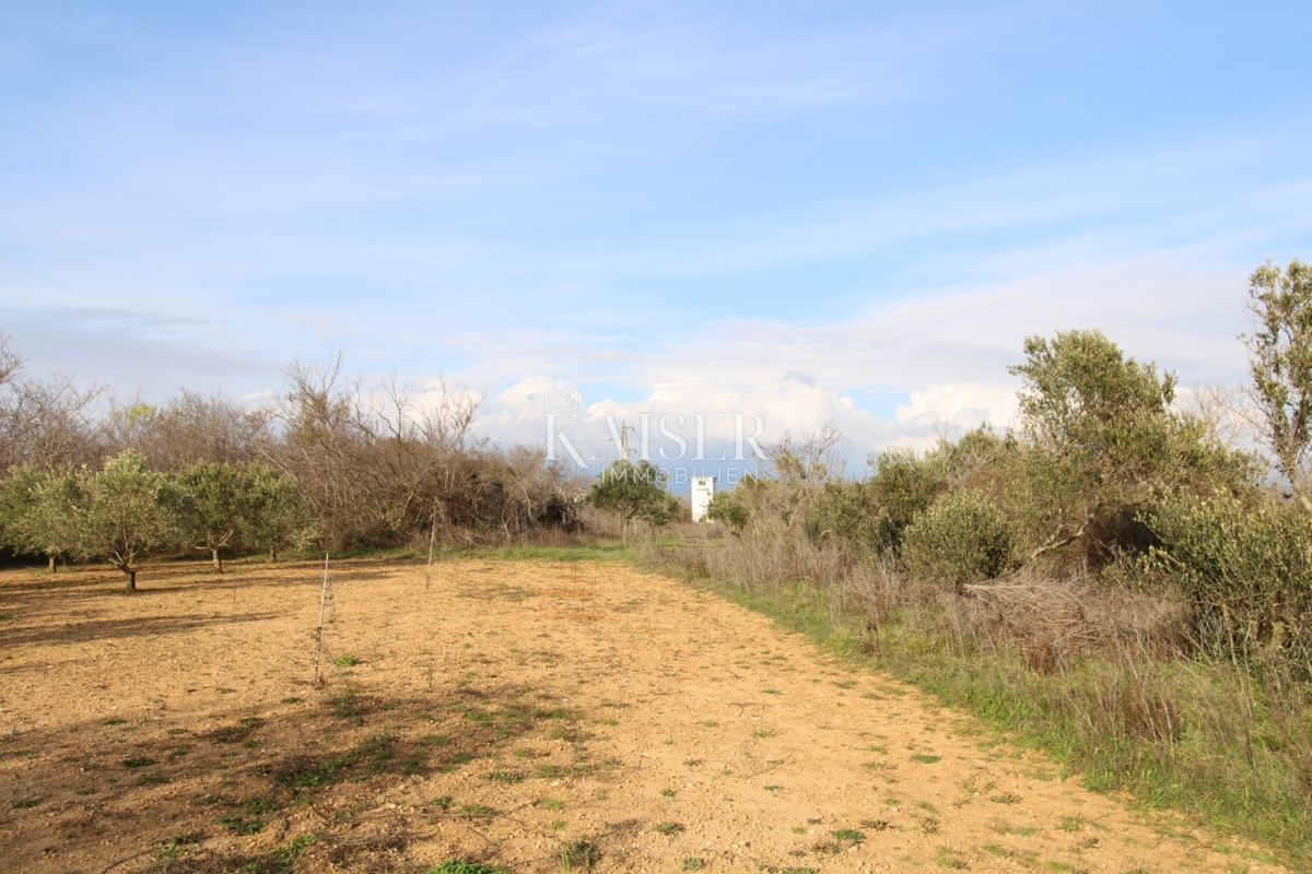Земля під забудову Privlaka, 1.000m2