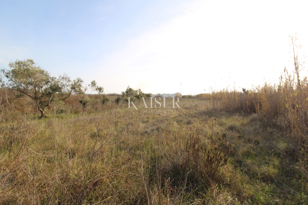 Земля під забудову Privlaka, 1.000m2