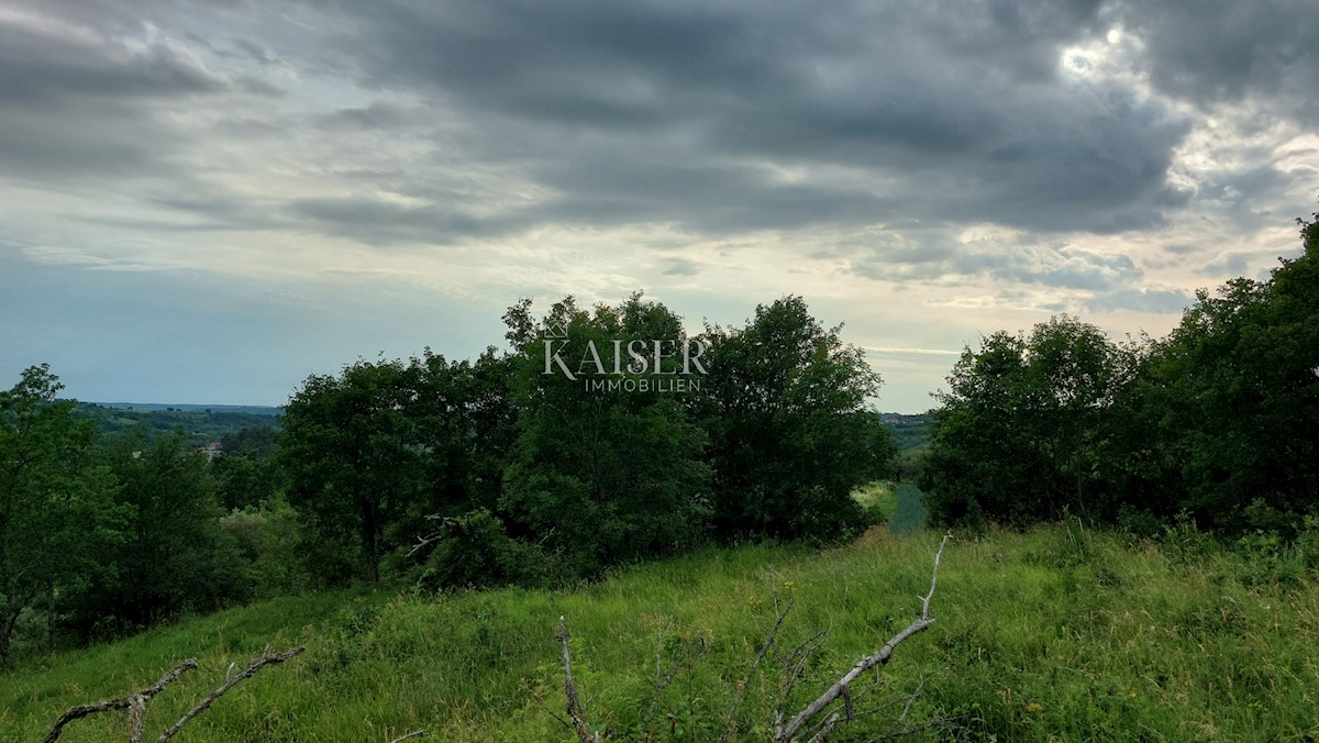 Земля під забудову Grožnjan, 1.560m2