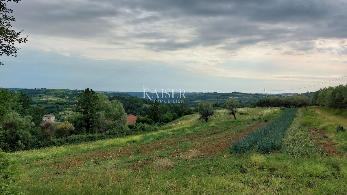 Земля під забудову Grožnjan, 1.560m2