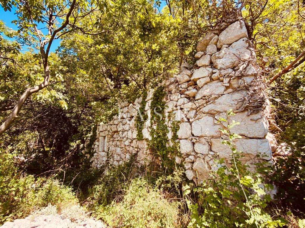 Istria, Labin - tenuta con case, 30000m2
