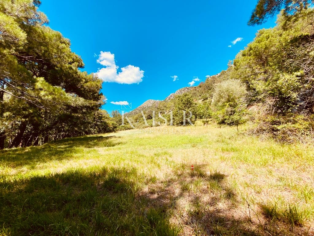 Istria, Labin - tenuta con case, 30000m2