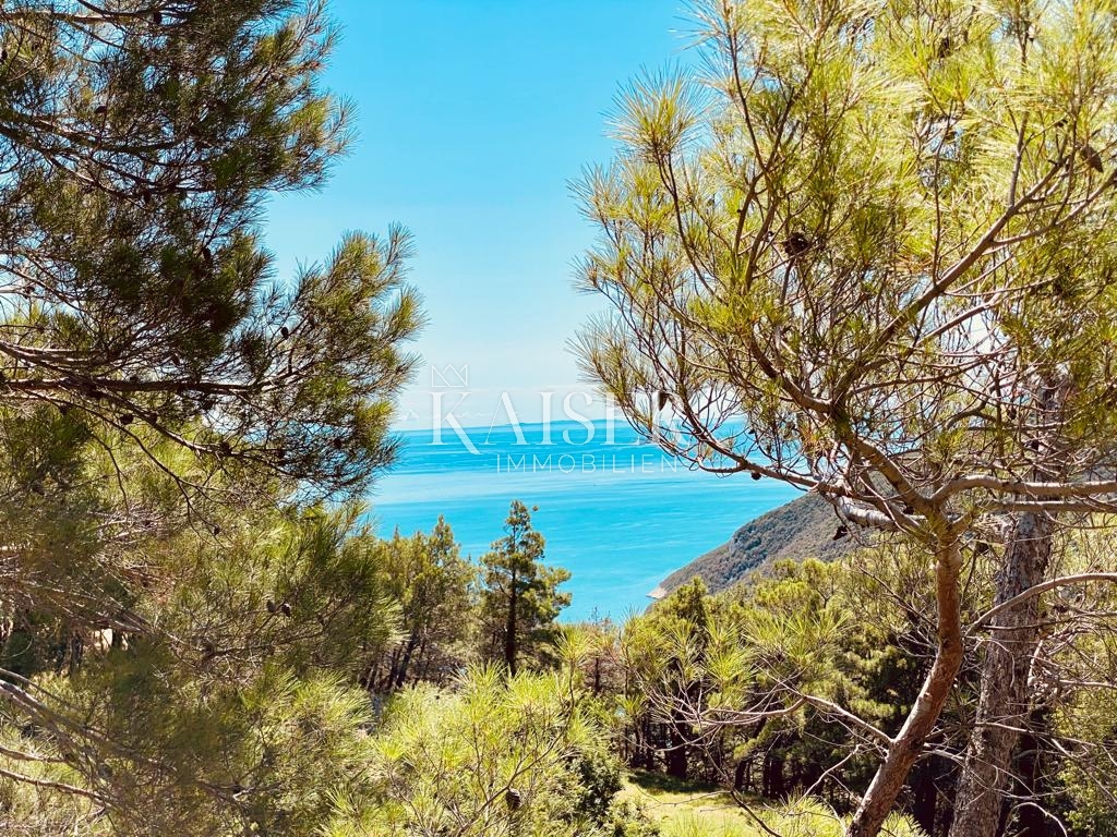 Istria, Labin - tenuta con case, 30000m2
