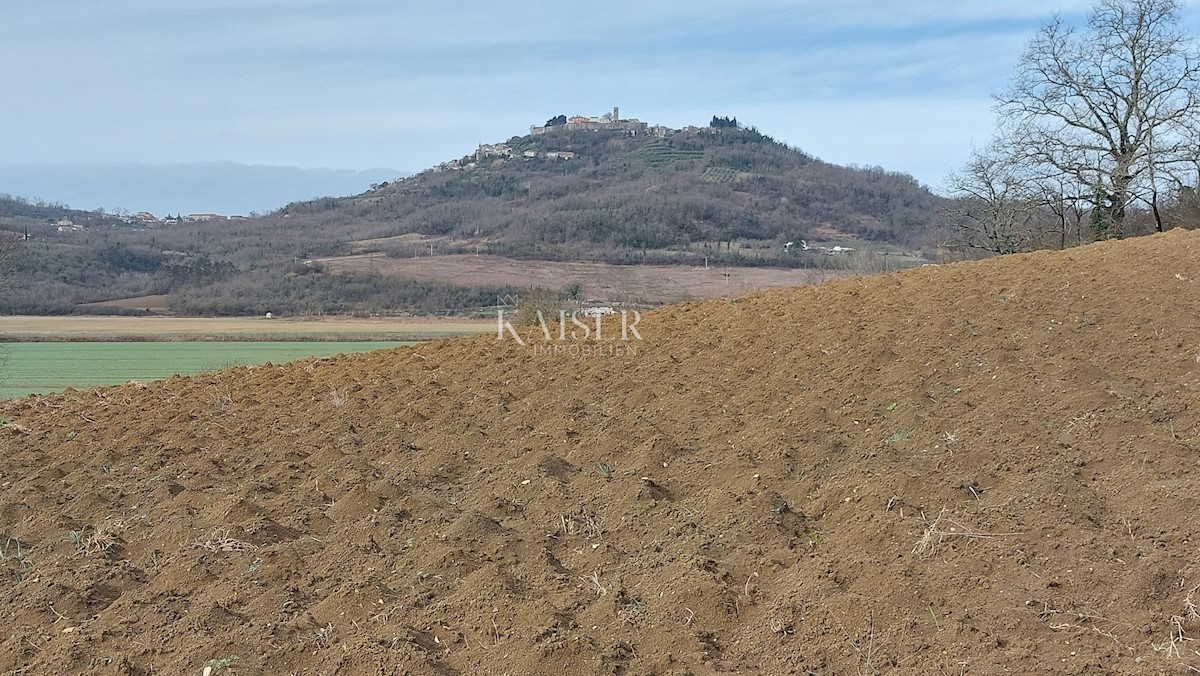 Istria, Motovun - terreno edificabile T2, vista Montona