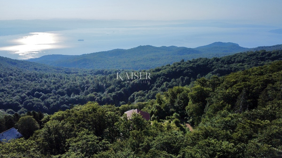 Abbazia, Poklon - Villa nel parco naturale con vista sul mare