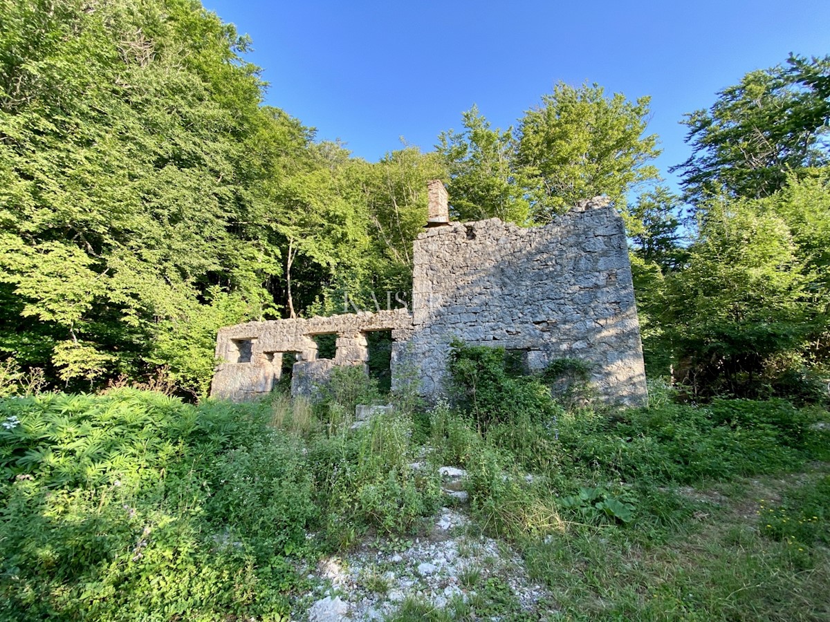 Abbazia, Poklon - Villa nel parco naturale con vista sul mare