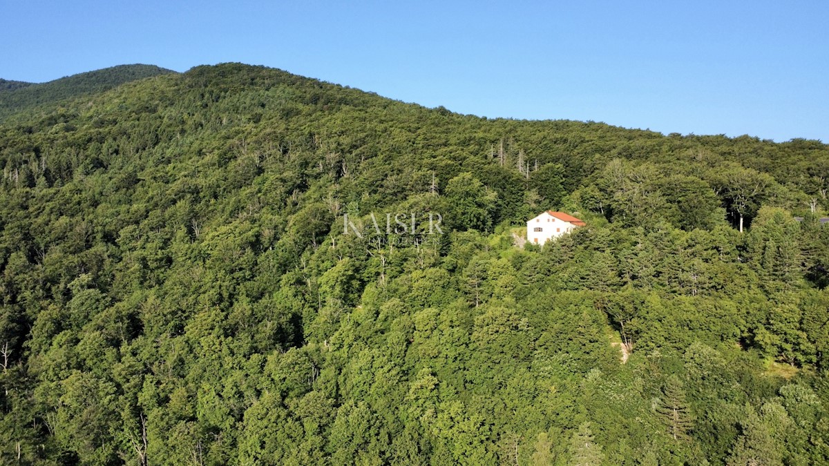 Abbazia, Poklon - Villa nel parco naturale con vista sul mare