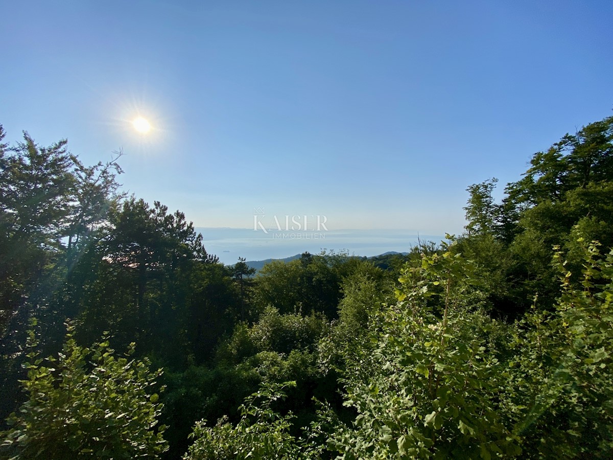 Abbazia, Poklon - Villa nel parco naturale con vista sul mare