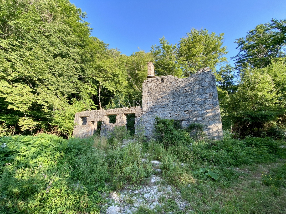 Abbazia, Poklon - Villa nel parco naturale con vista sul mare