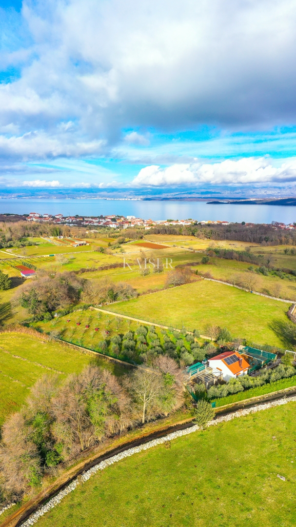Isola di Krk, Malinska - casa con uliveto e vista mare