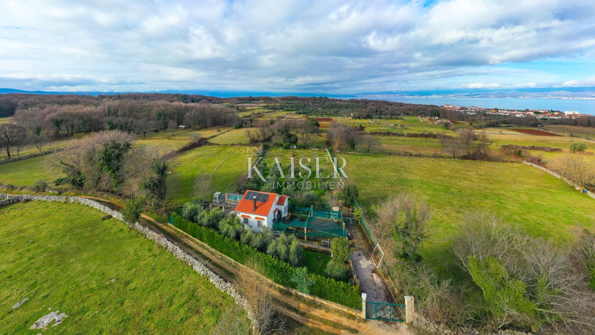 Isola di Krk, Malinska - casa con uliveto e vista mare