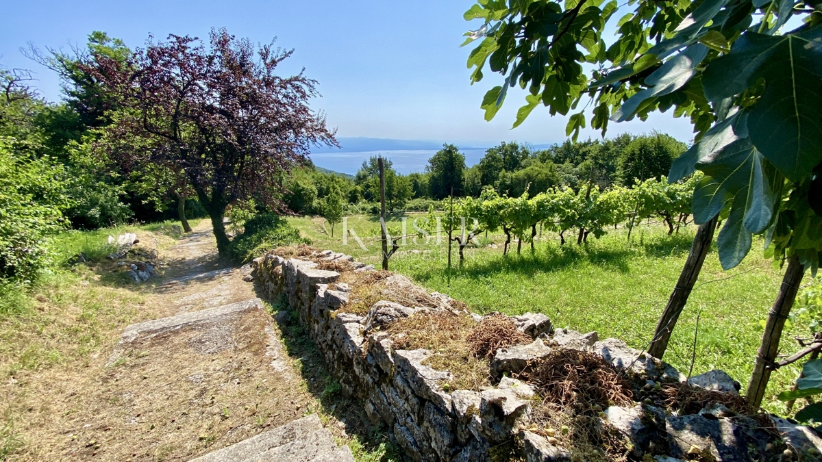 Riviera di Opatija - Terreno unico nella zona T2 per un villaggio turistico, a 7 minuti dal tunnel Učka